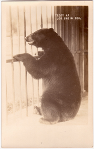 Log Cabin Zoo - Teddy Bear