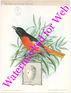 Singer Mfg Advertising Card - American Singer Series - Baltimore Oriole
