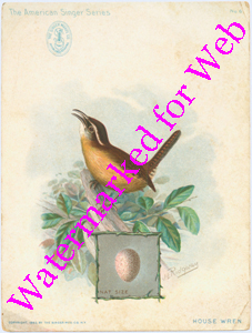 Singer Mfg Advertising Card - American Singer Series - House Wren